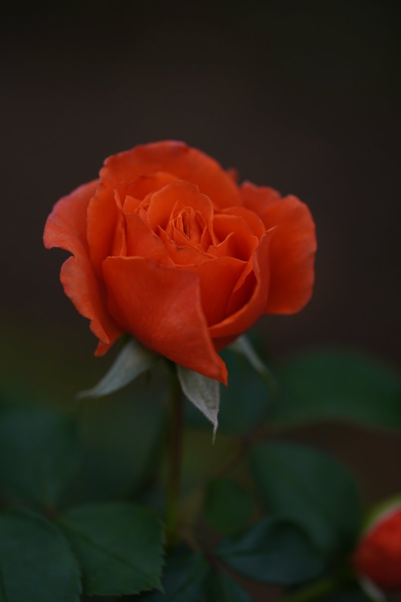 jerritama's tweet image. 