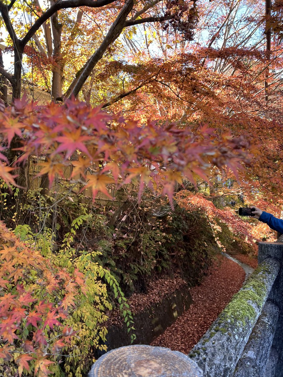 Такао в самой жаре сейчас