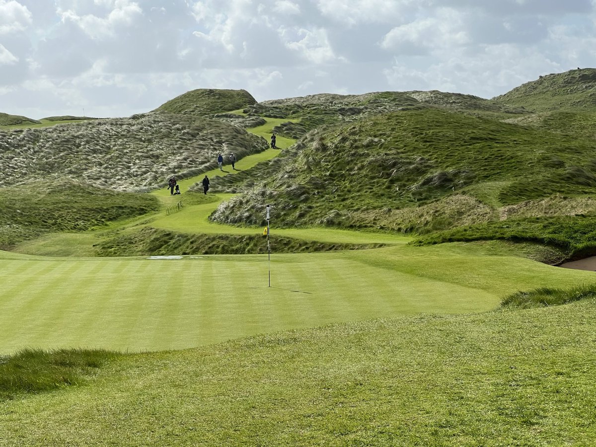 Blanchetti tweet media