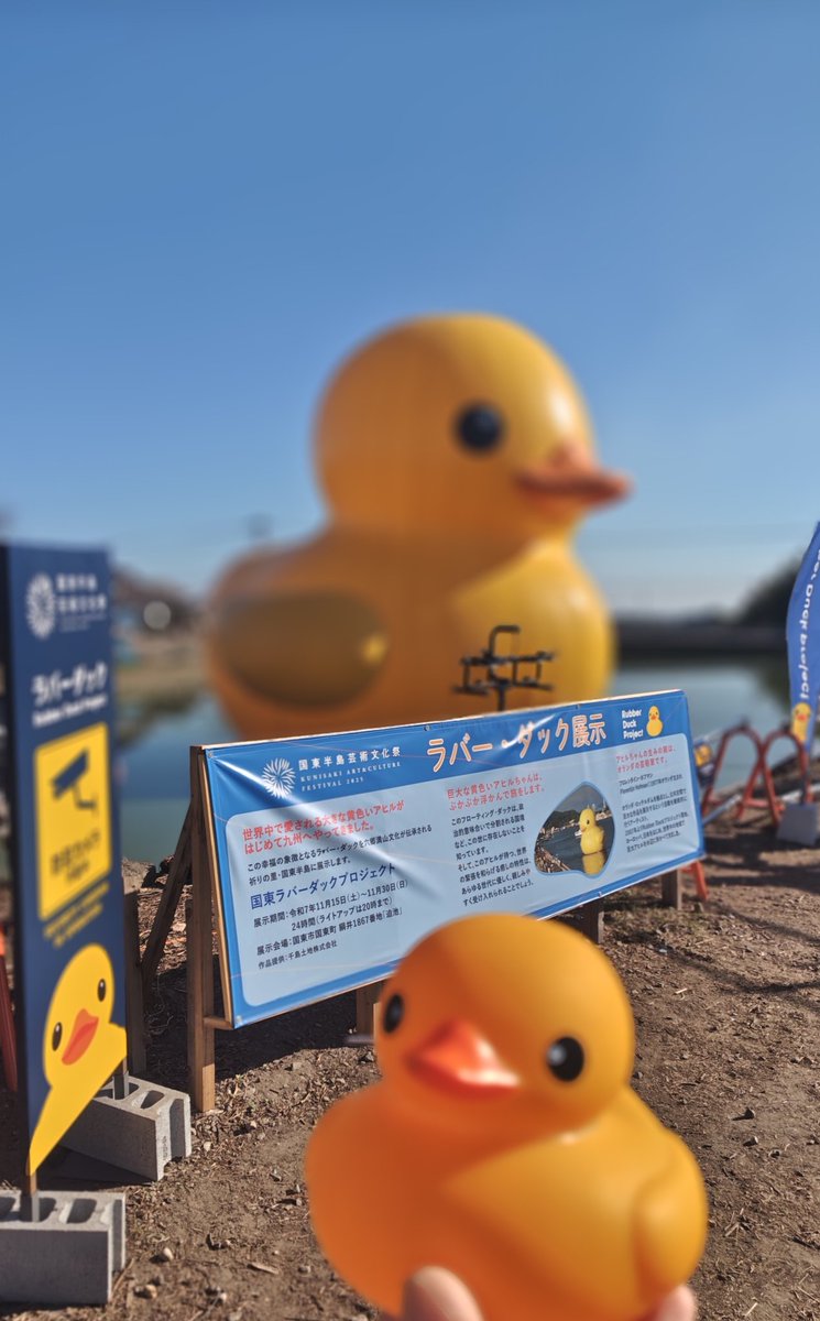 来場した記念のラバーダックのレプリカも添えて。