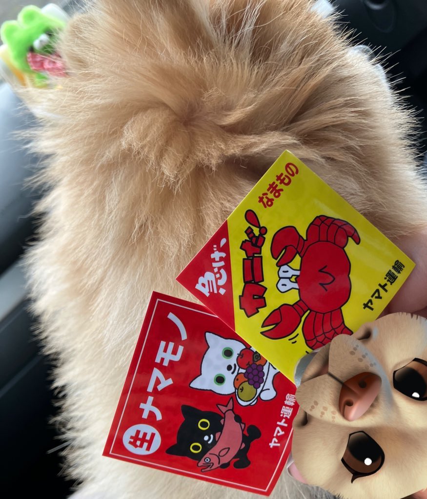 【りんもこ様】専用ページになります もこページ もこページ にこ このzxでバイクが大好きになりました