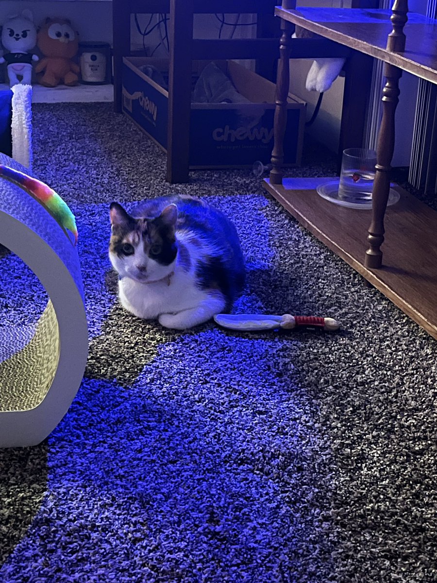 clam_time's tweet image. don&apos;t piss me off ..