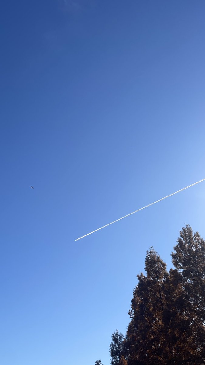明日へつづくcontrail