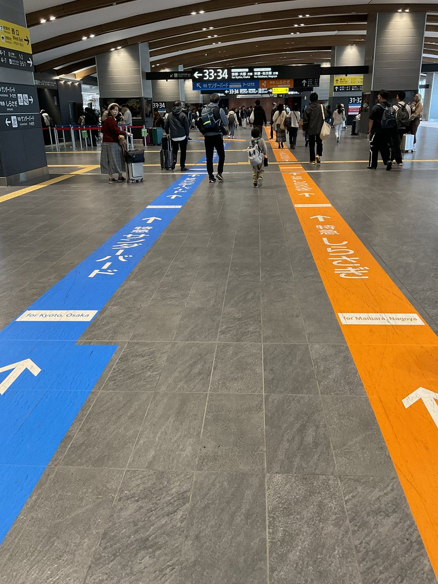 さあどちらにしようかな？