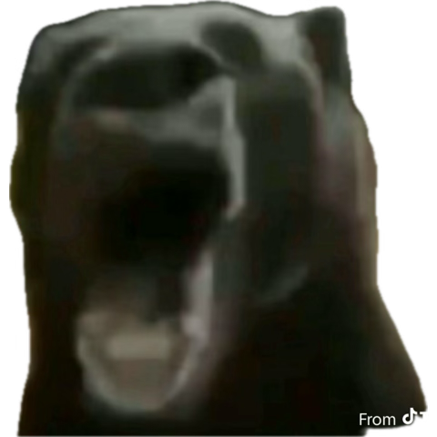 chosen 🦚 tweet media