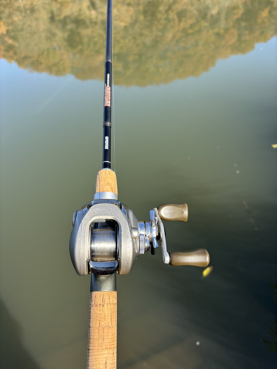 ルウ (@STEEZ_BASS) / Posts / X