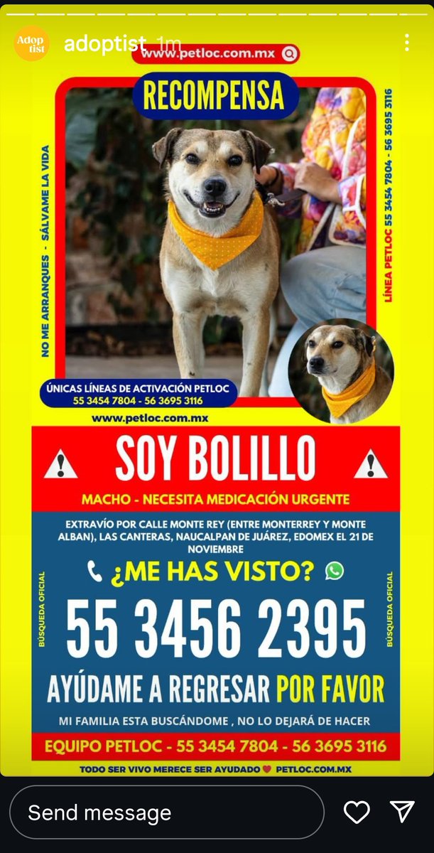 SOS , recien rescatado se ha perdido. AYUDANOS a que regrese ! <a href="/HELA_MORE/">𝙷𝚎𝚕𝚊 𝙼𝚘𝚛𝚎 🐶</a> <a href="/FundacionTomy/">Fundacion Tomy</a> <a href="/FundacionToby/">Fundación Toby</a>