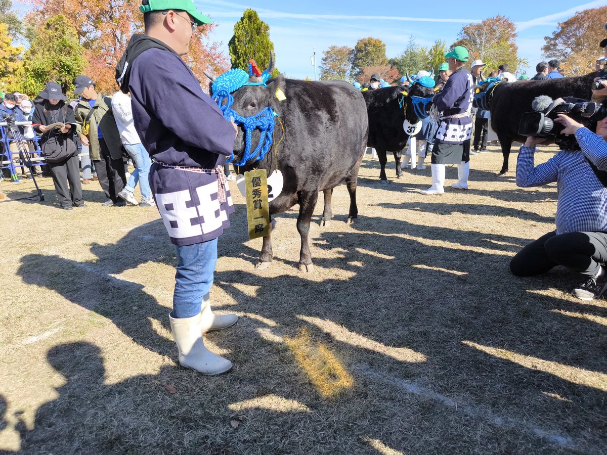 tokai_maxvalu's tweet image. 第74回 #松阪肉牛共進会
審査が終了し、優秀賞一席の牛が決定しました！🎉
明和町の中尾さんが飼育のかずみ号です！😳

おめでとうございます！🎉🎉
この後、13時からセリ市が始まります🕐

#共進会
#三重県
#松阪牛
#マックスバリュ東海