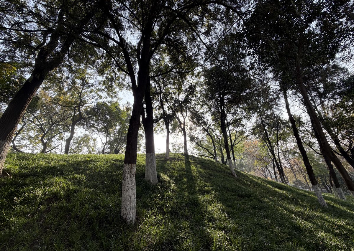 Shxyz. (@yq142857) on Twitter photo 