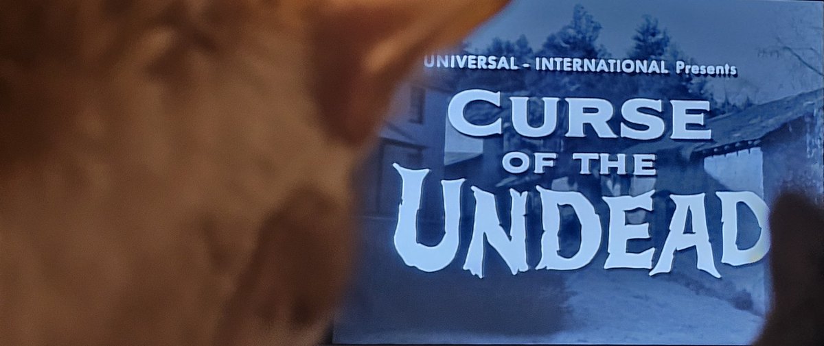 INSHomeService's tweet image. thanks to #svengoolie #CurseoftheUndead. The cat refuses to let anyone in the house.