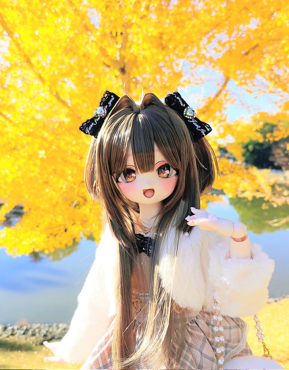 HARISEN.🍁🍂あずた (@azuazuazuta123) / Posts / X