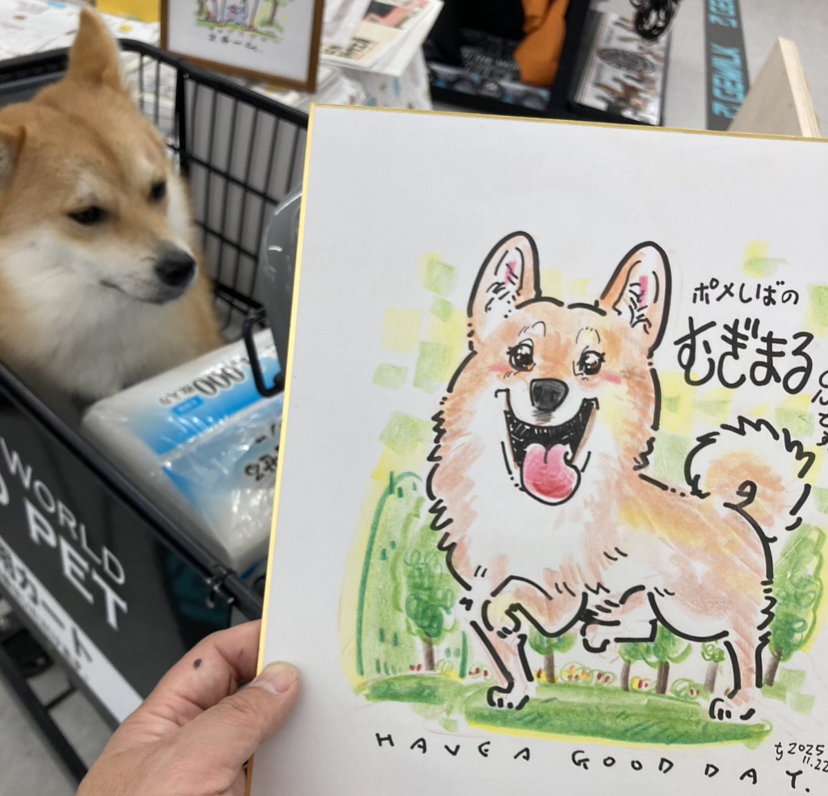 昨日と今日は某ペットショップで似顔絵さん｡ 僕は見たものを写すんじゃ