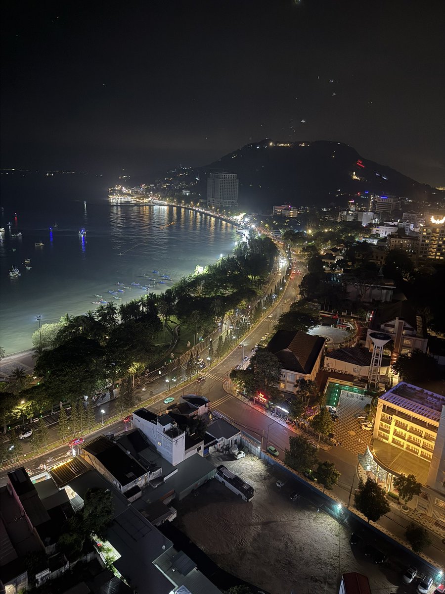 Cairo_888_'s tweet image. Vūng tàu by night 🇻🇳

#vietnam #view