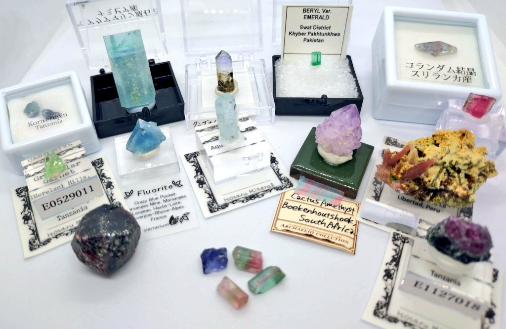 樹(石初級) (@nYxJ2aNXiikgL3e) / Posts / X