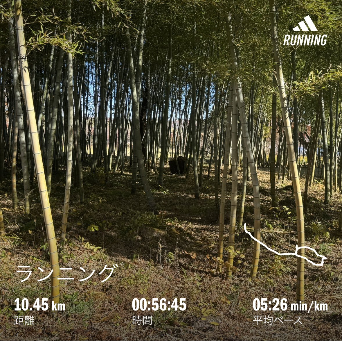 午前ラン
違うとわかっていても ここを通る時毎回
🐻ྀིだ！
って思う
紛らわしい黒い塊

これからクイーンズ駅伝ですね
テレビで見る仙台の市街地は大都会ですｹﾄﾞ
…来年は仙台ハーフ走りたい！