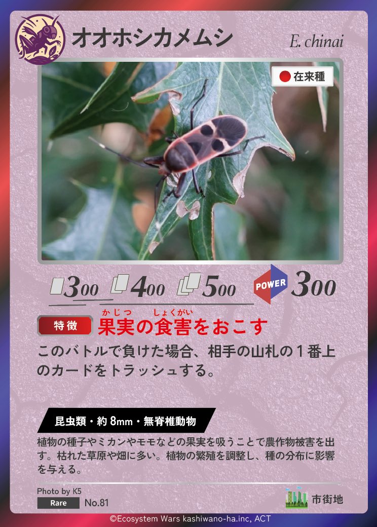 Ecosystem_Wars's tweet image. 🌿🪲生態系ウォーズ フォトコン採択作品🪲🌿
今回ご紹介するのは「オオホシカメムシ」。

乾いた草地でよく見られ、植物の果実を吸う独特の生態を持つカメムシ。
黒と赤の大胆な模様は、遠目でもすぐ分かる存在感です。

📸撮影：K5 さん
このたびの採択、誠におめでとうございます！！…