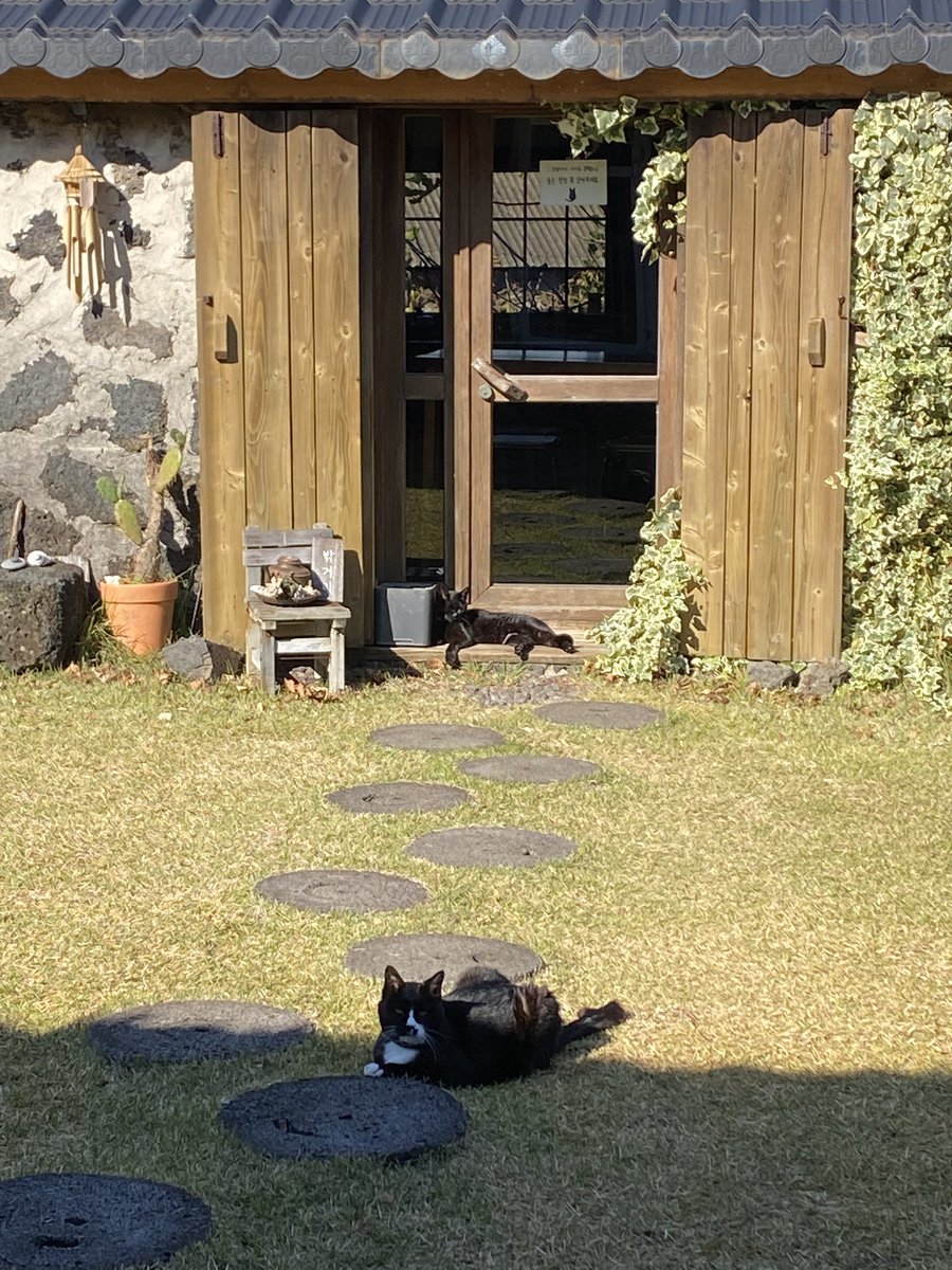 오늘 제주 바람 0-1m/s.
이 계절에 흔치 않은 날이다.