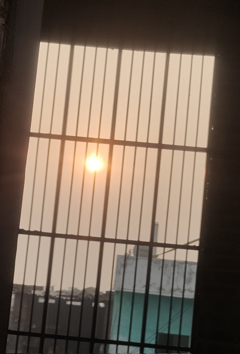 Sonam59004832's tweet image. Happy Sunday! 🌞❤️☘️
#GodMorningSunday
#sundayvibes