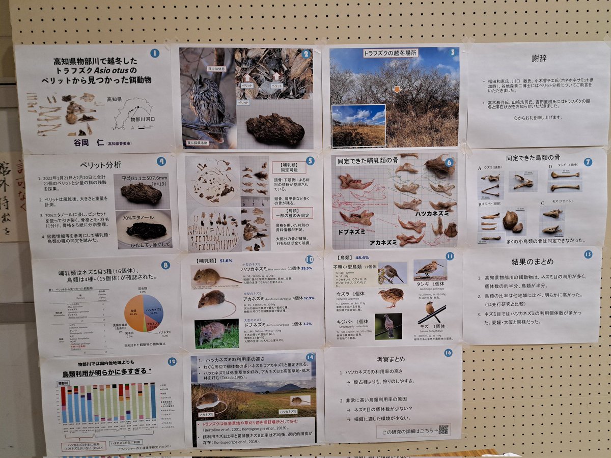 第10回ホネホネサミット2025 tweet media
