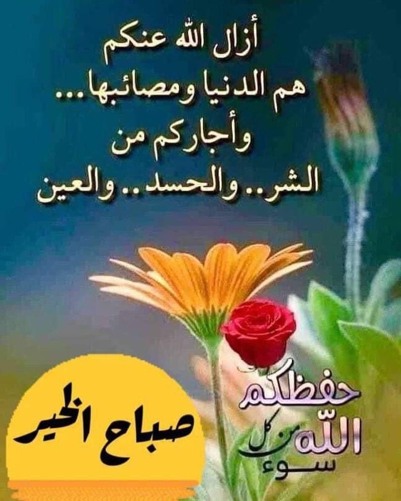 فتى الصحراء (@2023fata) on Twitter photo 