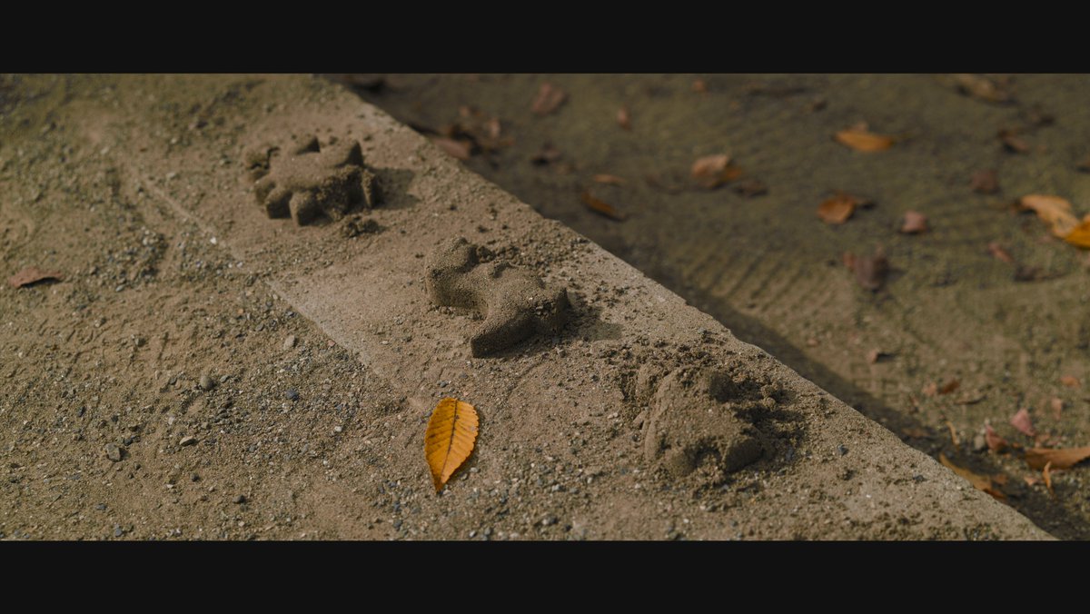 takuma3_'s tweet image. 📸 #SigmaBF + #SIGMA 50mm F2 DG