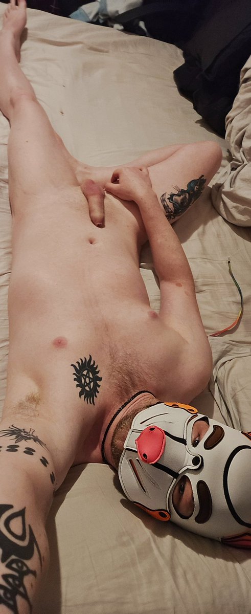 Puppy really needs some cuddles this morning
Who wants to join him 🥰