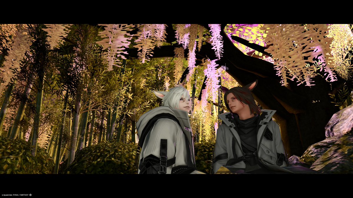 yoiyamigin12's tweet image. 初めましてのRuuさん(@Ruu_FF14_0 )と沢山SS撮って来ました✨
楽しい時間はあっという間で名残惜しかった…！ありがとうございました🫶

褐色オスッテくんはやはりカッコいいねぇ

#CS_R_PLUS #FF14SS