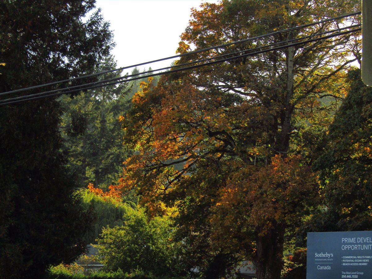 routinecolours's tweet image. 