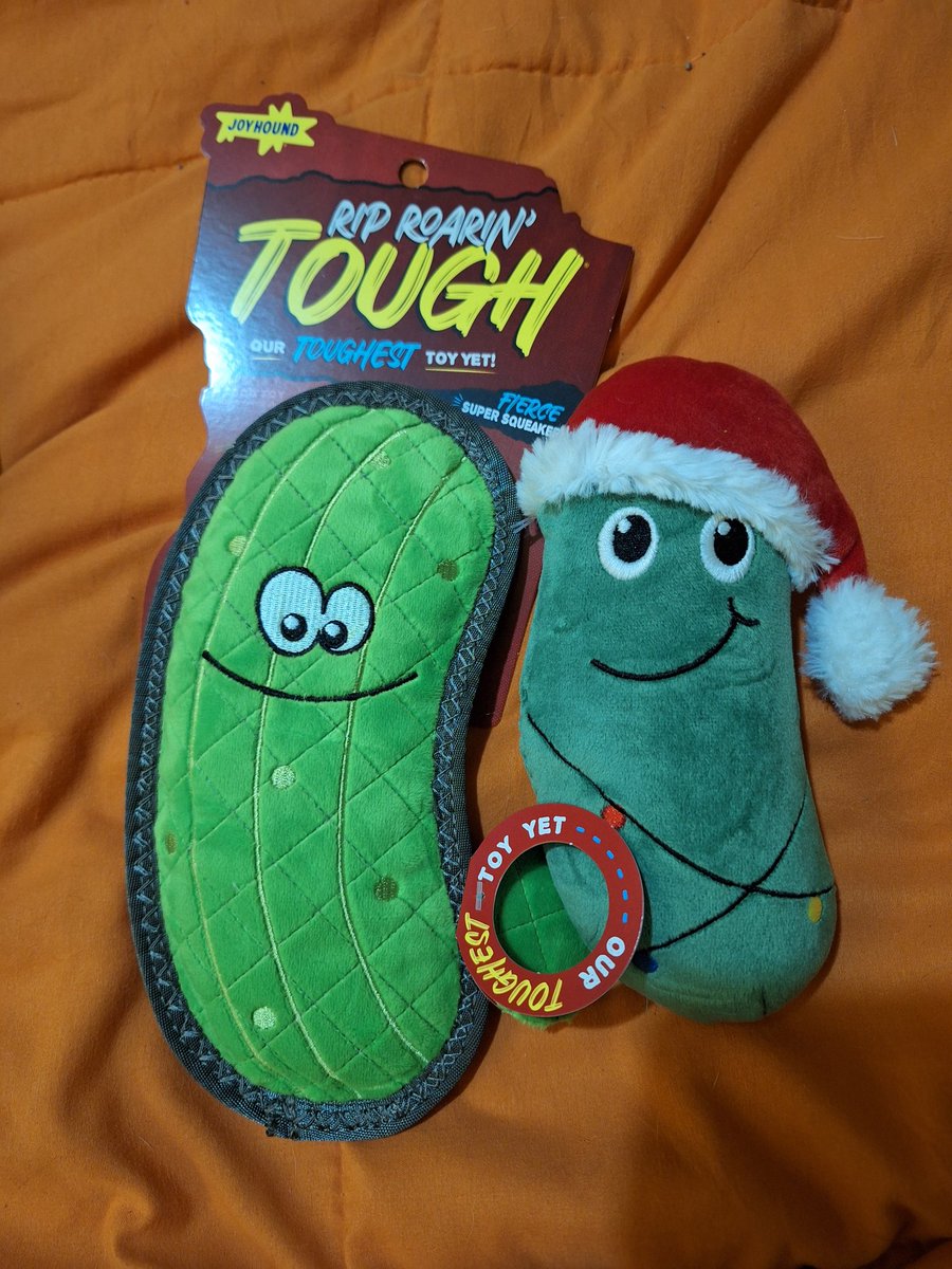 We got 2 new pickles!!