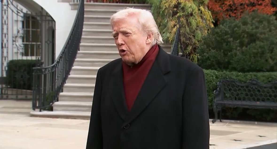 NatHalberstadt's tweet image. How this afternoon finds me