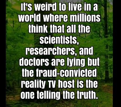 carole_shirley's tweet image. 