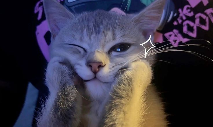 ᅠ

ᅠ

ᅠ
ᅠ

ᅠ

ᅠ

ᅠ

ᅠ

ᅠ

ᅠ

ᅠ

ᅠ

ᅠ

ᅠ
ᅠ
ᅠ

ᅠ

ᅠ

ᅠ
ᅠ

ᅠ

ᅠ

ᅠ

ᅠ

ᅠ

ᅠ

ᅠ

ᅠ

pembersihan tl 🐈‍⬛️