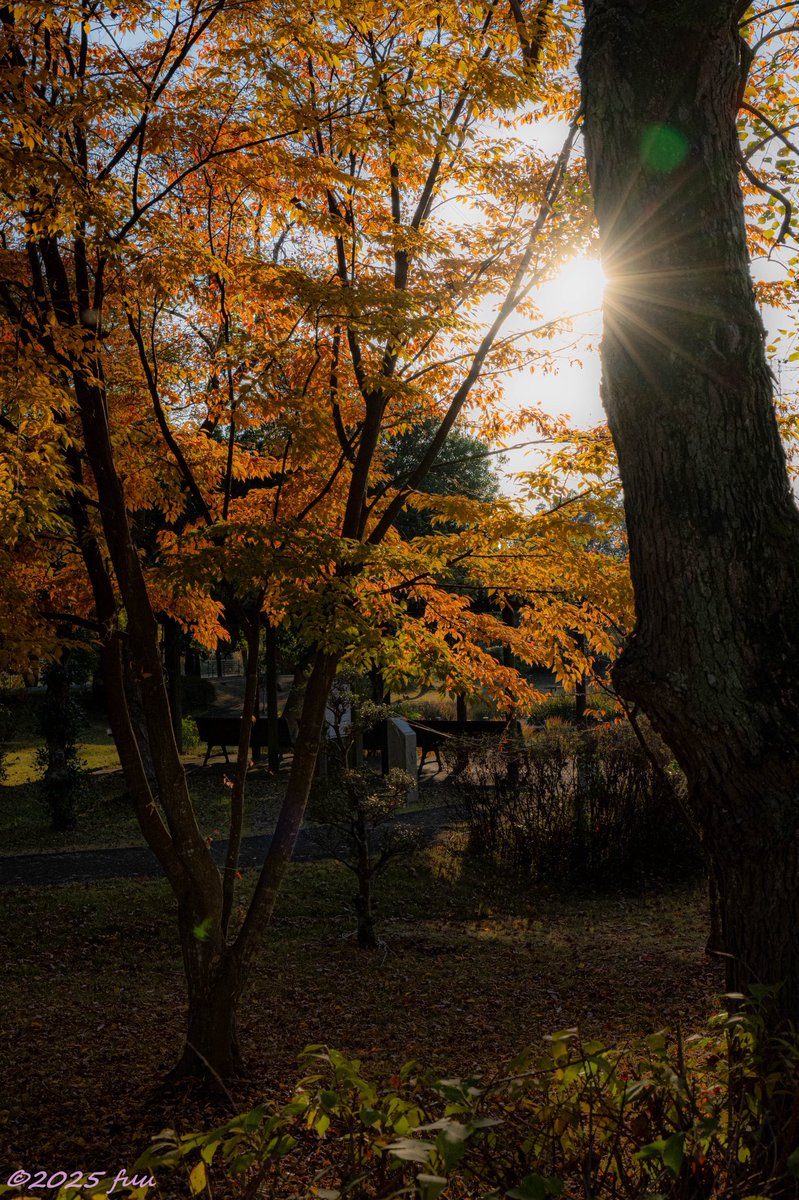 𖤣𖥧𖥣𖡡𖥧𖤣 ふう ꕤ୭ (@fuu_2021_) / Posts / X