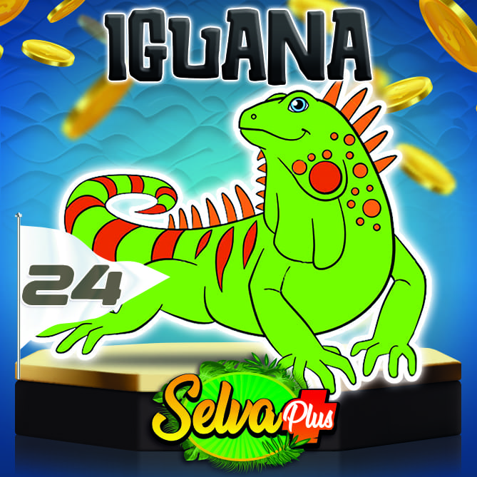 SelvaPlus's tweet image. ¡El animalito millonario llegó rugiendo fuerte! 🐾💰

📅 Hoy es: Sábado, 22 Nov 2025
⏰ Hora del sorteo: 06:00 PM
🥇 Animalito ganador: 24 Iguana

🤑 ¡Premios salvajes en la Selva Plus! ¿Tuviste el ojo de tigre para acertar al ganador? 🐅🎉