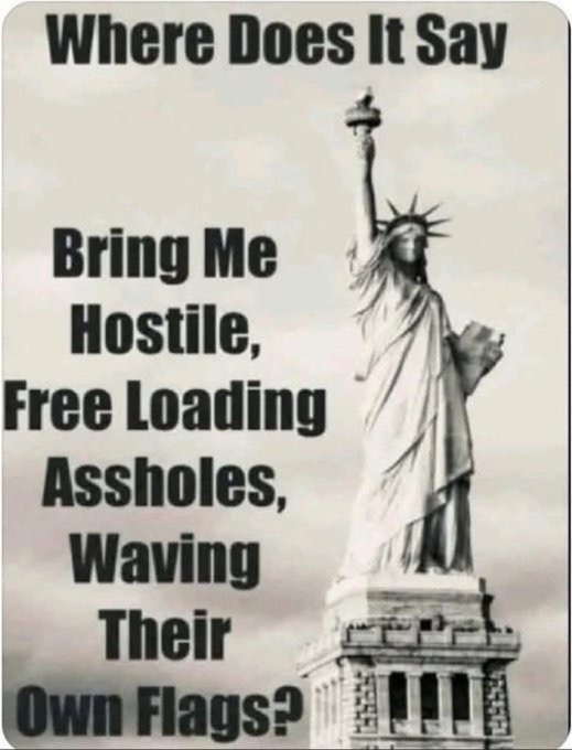 pstarr7799's tweet image. 