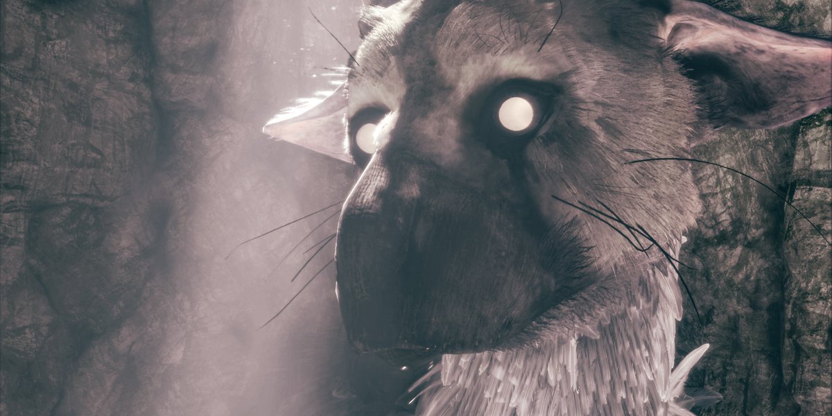 cccintix's tweet photo. The Last Guardian https://t.co/7HwnFdmmMd