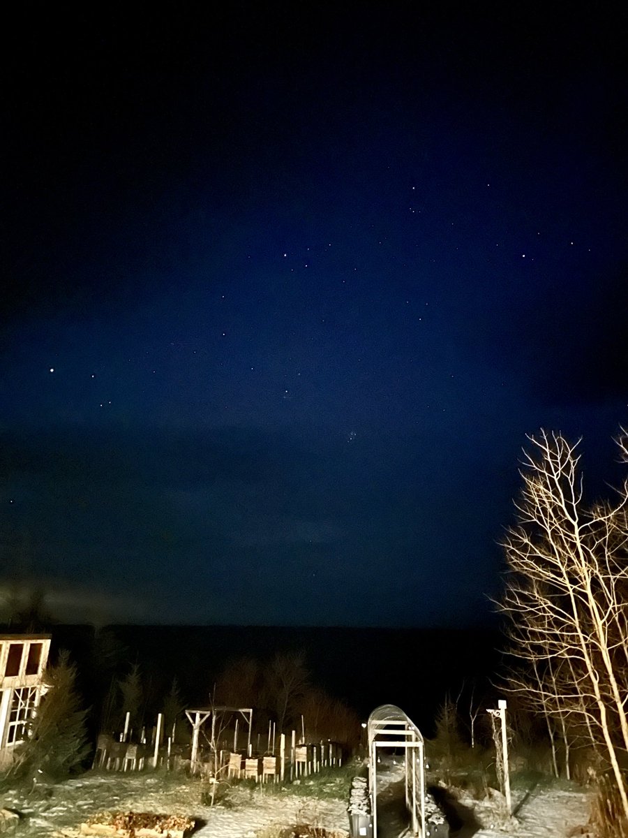 btleparadis's tweet image. Bonne soirée 💙🌟💙🌟💙