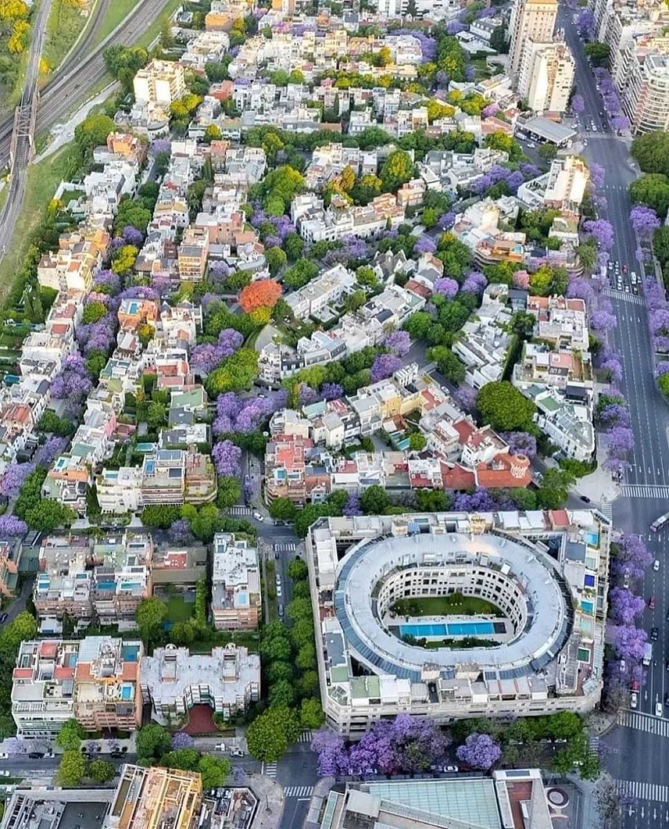 Argentina se pinta de violeta