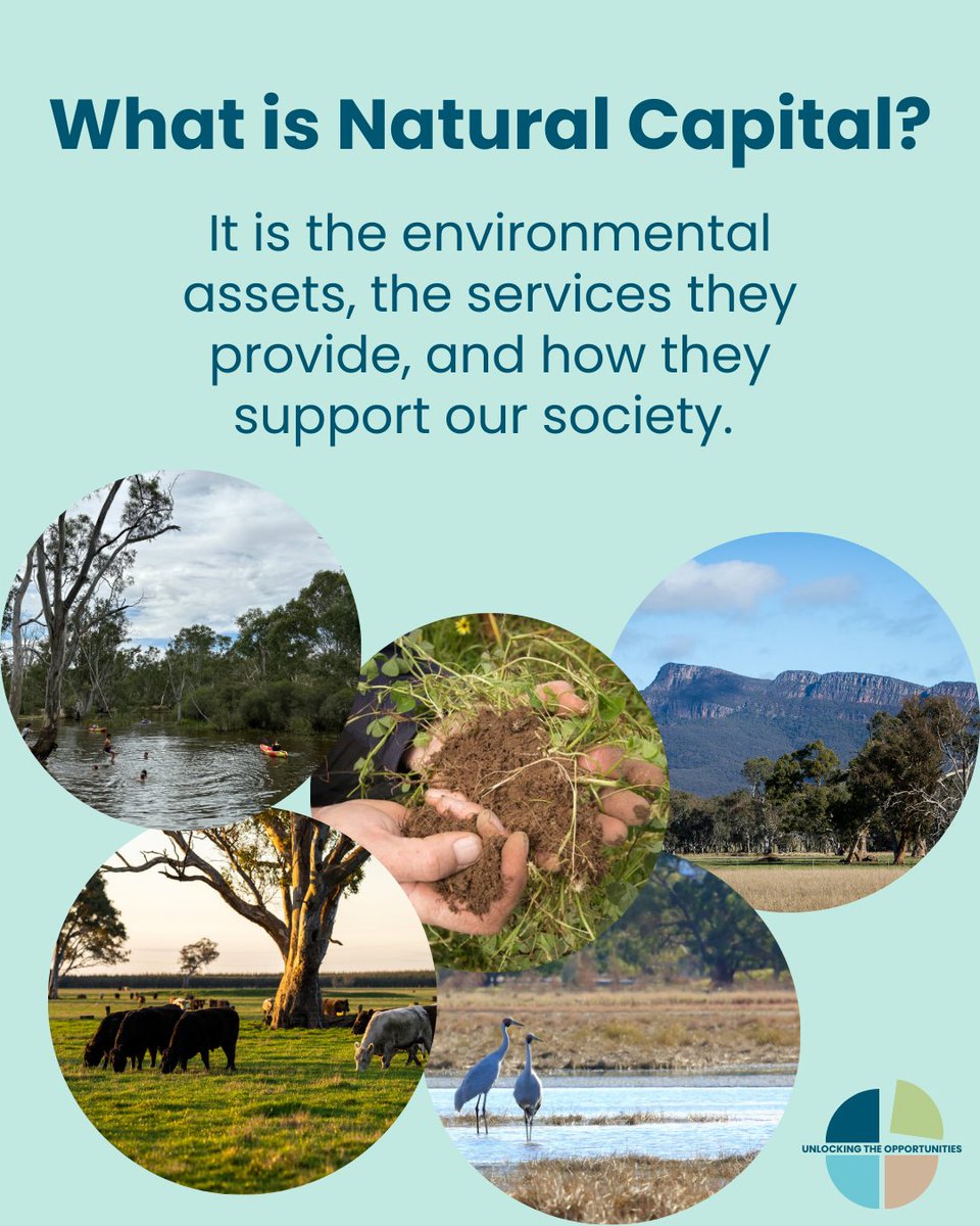 martinrev21's tweet image. Great to see the idea of &quot;natural capital&quot; working it&apos;s way into the agricultural sector.

&quot;Natural capital&quot; is a re-branding of natural resources (#nature) such as soil, water &amp;amp; living things so they can be better recognised, valued &amp;amp; managed in an economic &amp;amp; ecological sense.…
