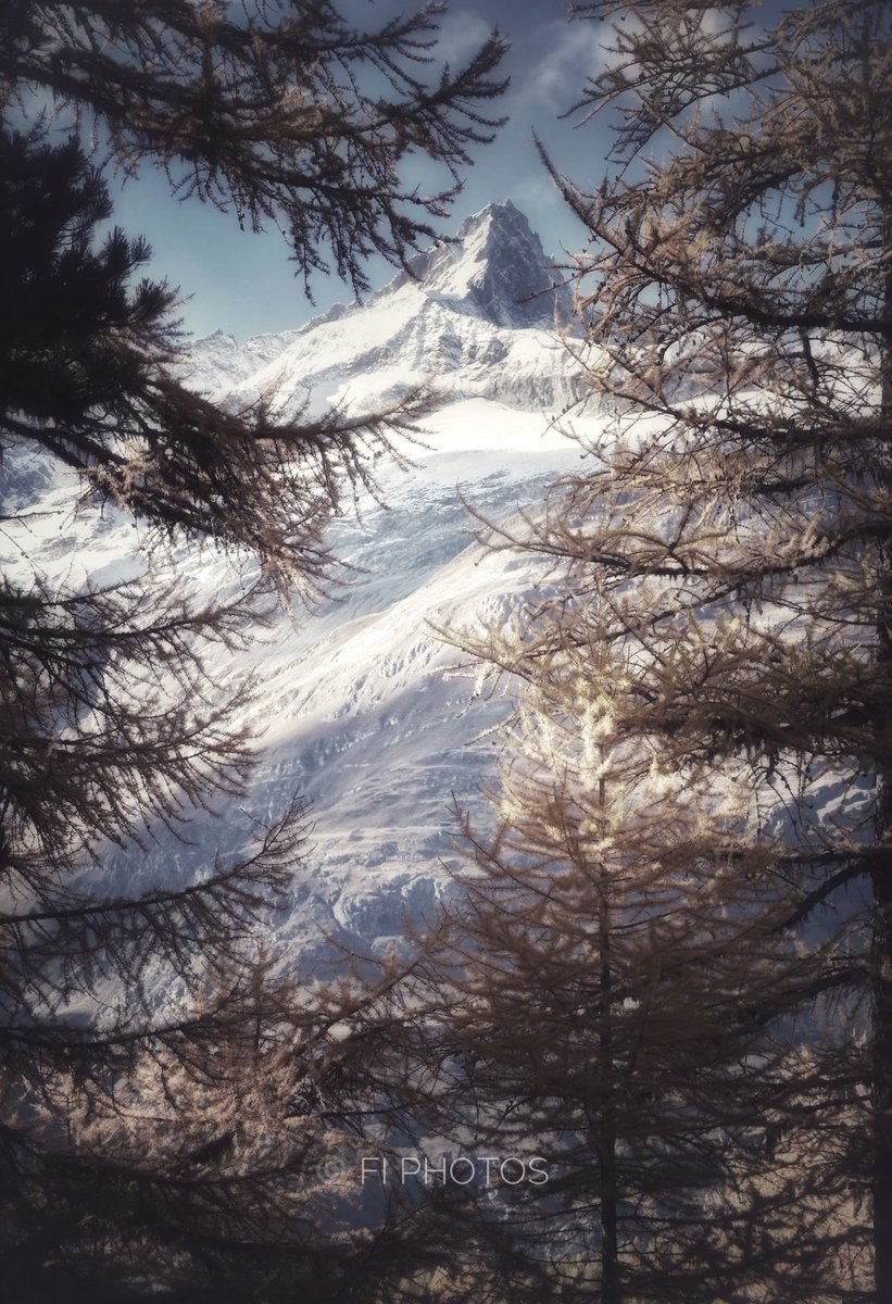 Autumn turns Wintry ©️ Fi Photos. The #Zinalrothorn 4421 metres, Valais 🇨🇭. First ascent by Crawford Grove, Anderegg, Anderegg, Stephen.