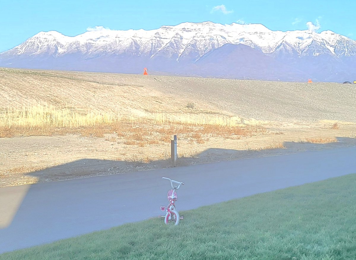 owenmiller75's tweet image. Does anyone need a little pink bicycle? 🤔 
#Utah #HighTrust #HighTrustSociety 🏔 🚲