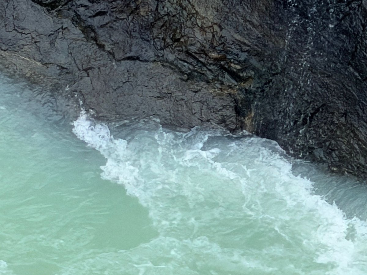 Alex Thomson tweet media