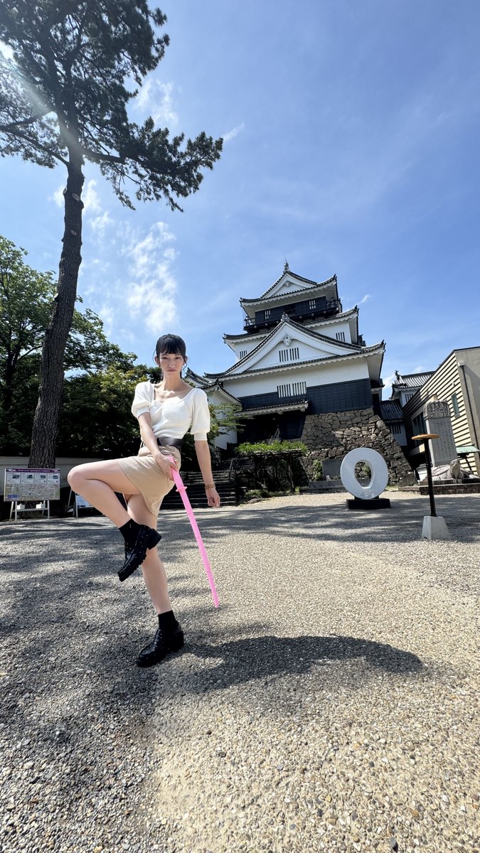 あんずチャンネル（本もの） (@anzuch1120) / Posts / X