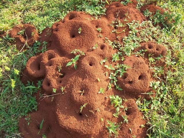 acervordem's tweet image. #HEXATOMBE
lore da jae nesse ep sem contexto: