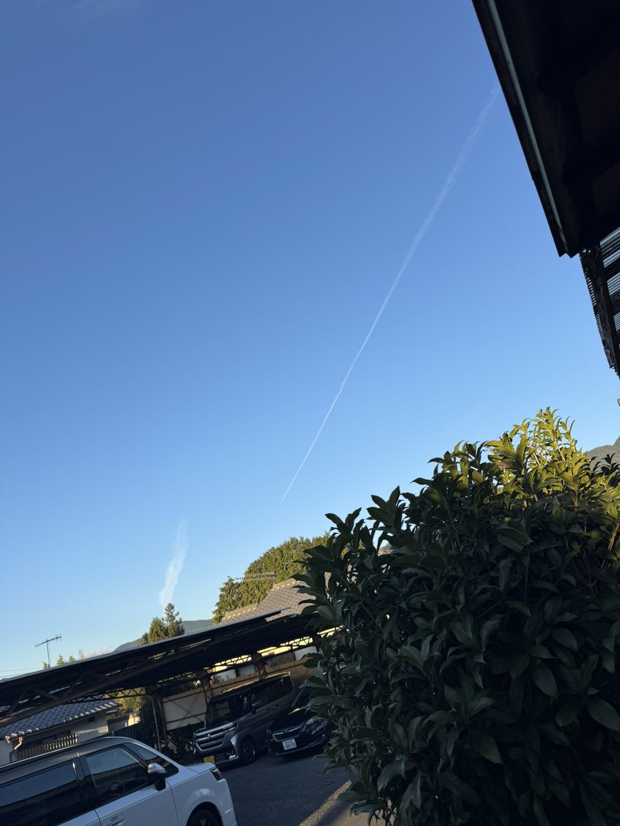 見たことない流れ
大丈夫？