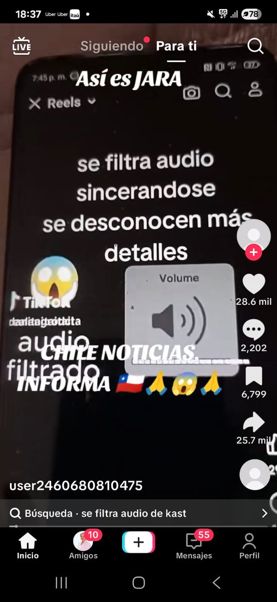 Alejandra Krauss V. tweet media