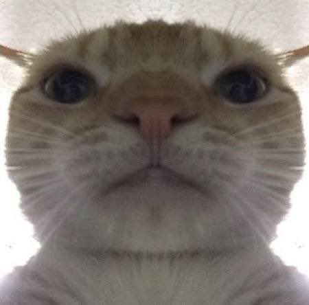 js_dun's tweet image. GN fams

Happy weekend