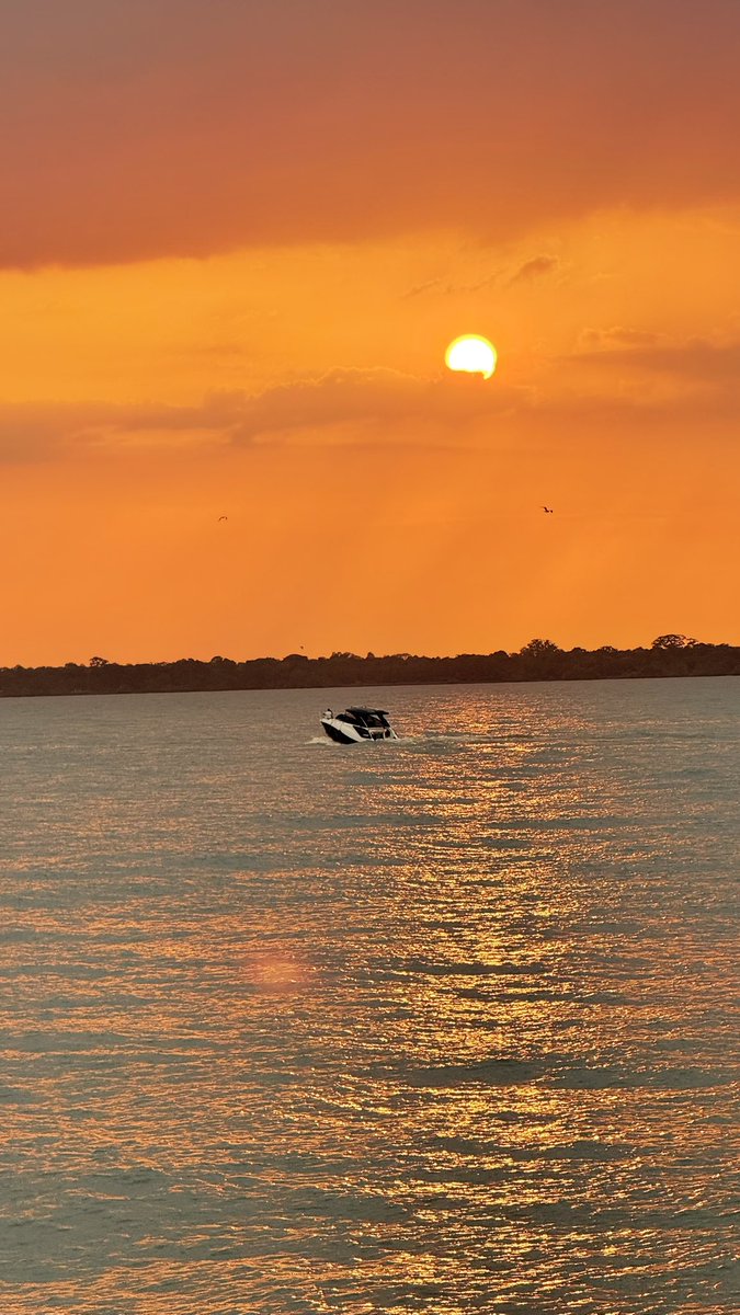 infraestruBelem's tweet photo. Belém do Pará, a capital da Amazônia e cidade sede da COP30.

#Belem #MetropoledaAmazonia https://t.co/npcqxfxC2F