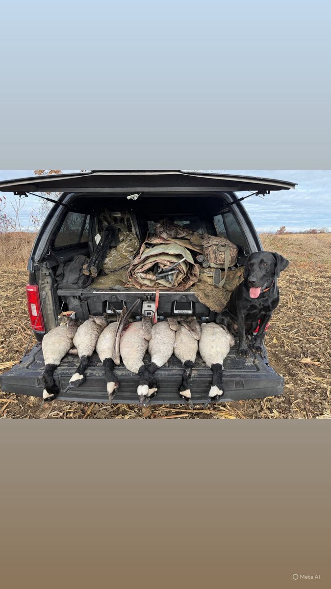 Chef Michael Hunter tweet media