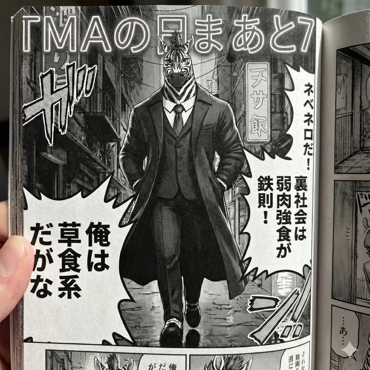 アメショのユキ (@kuroneko0618) / Posts / X